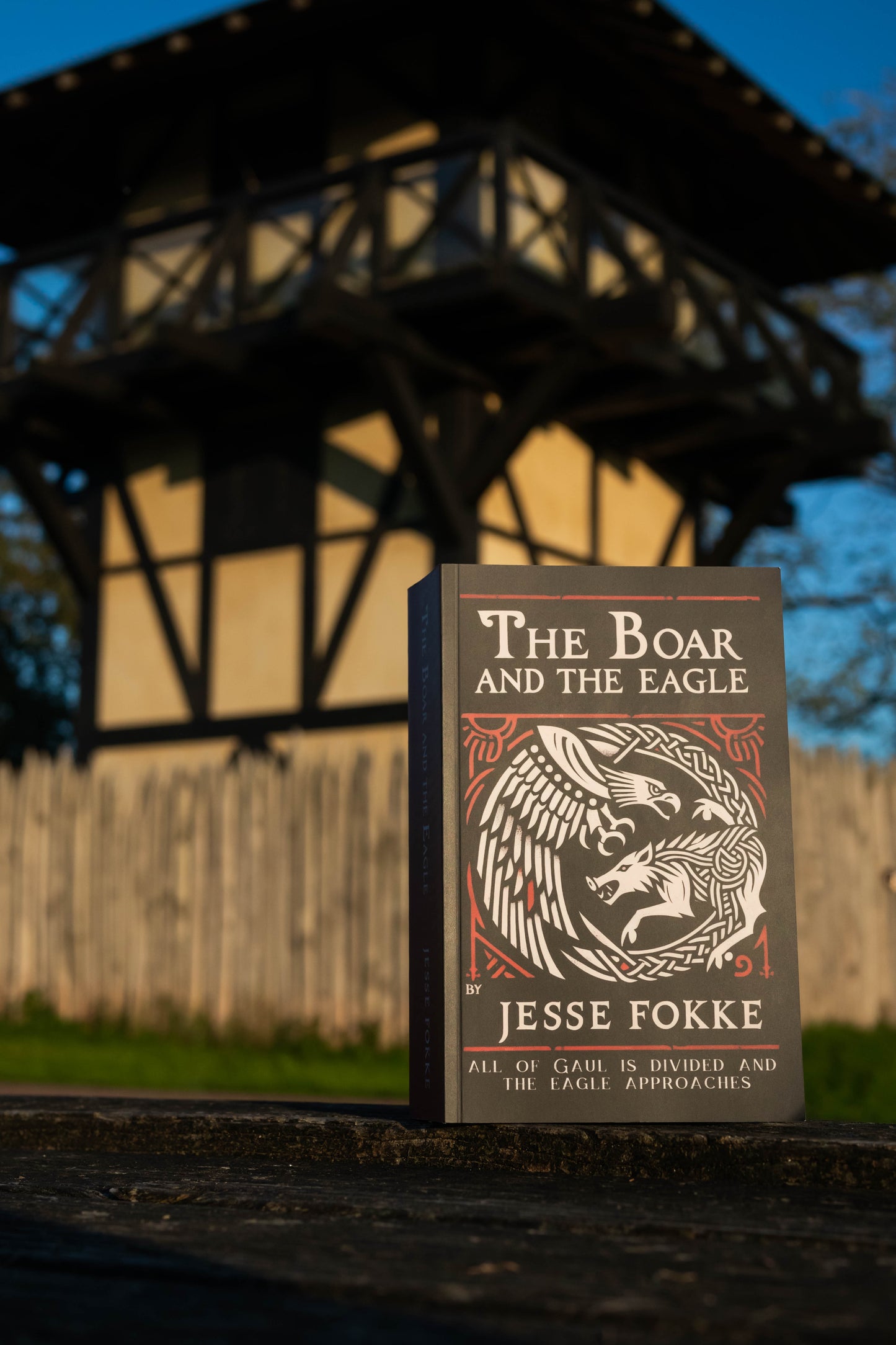 The Boar and the Eagle (paperback)